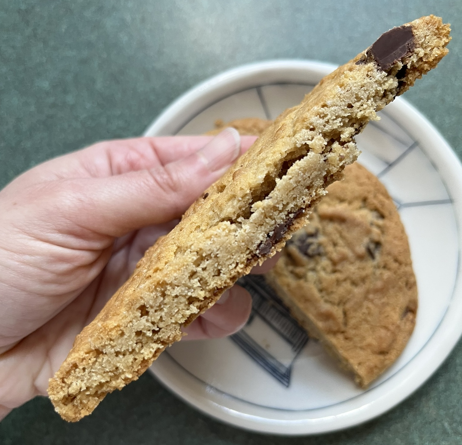 A cross-section of a cakey cookie