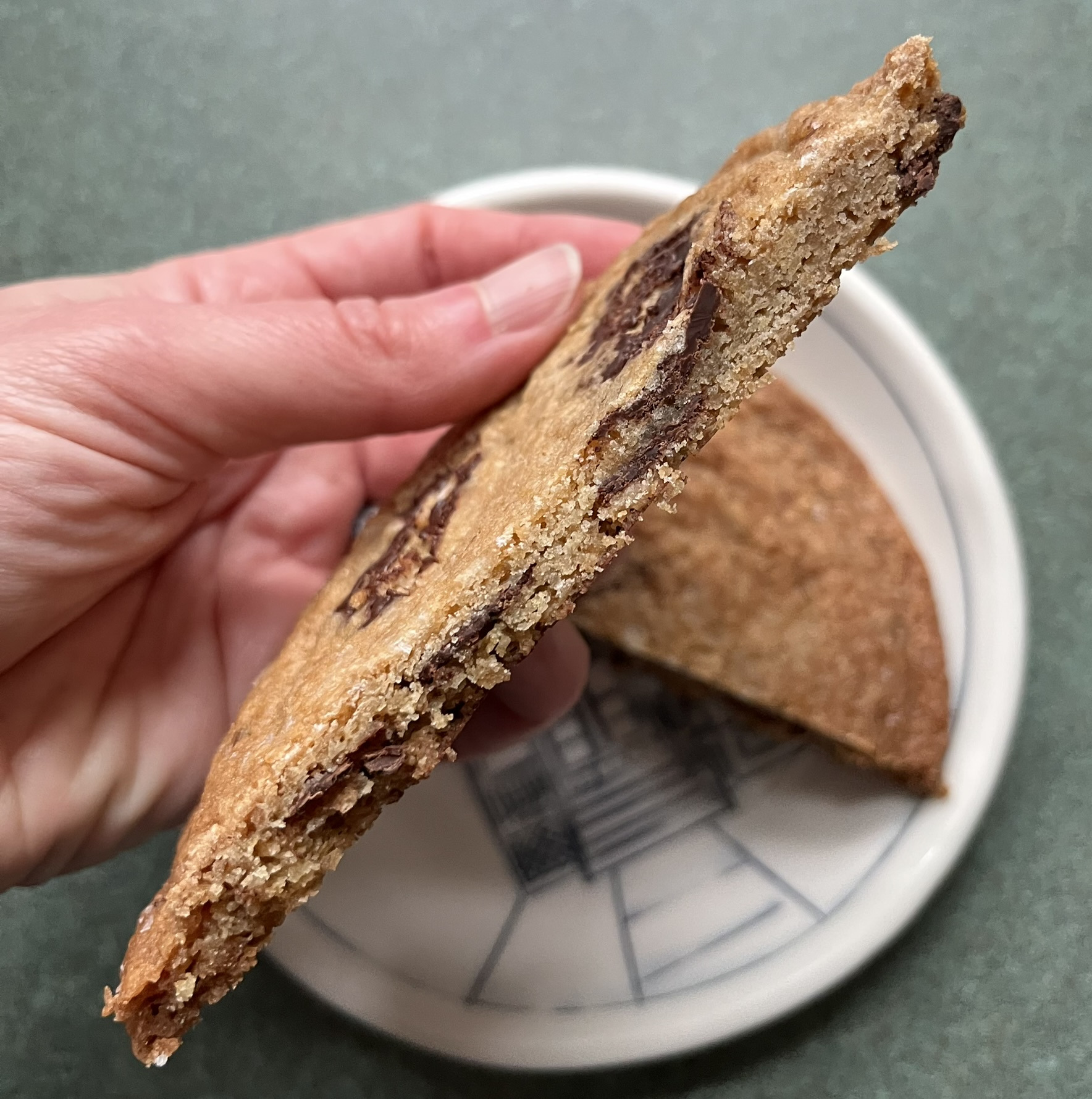 A cross-section of a thin cookie with chocolate